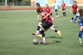 IMG_2930.JPG