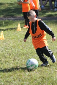 IMG_4762.JPG