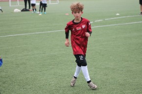 IMG_2661.JPG